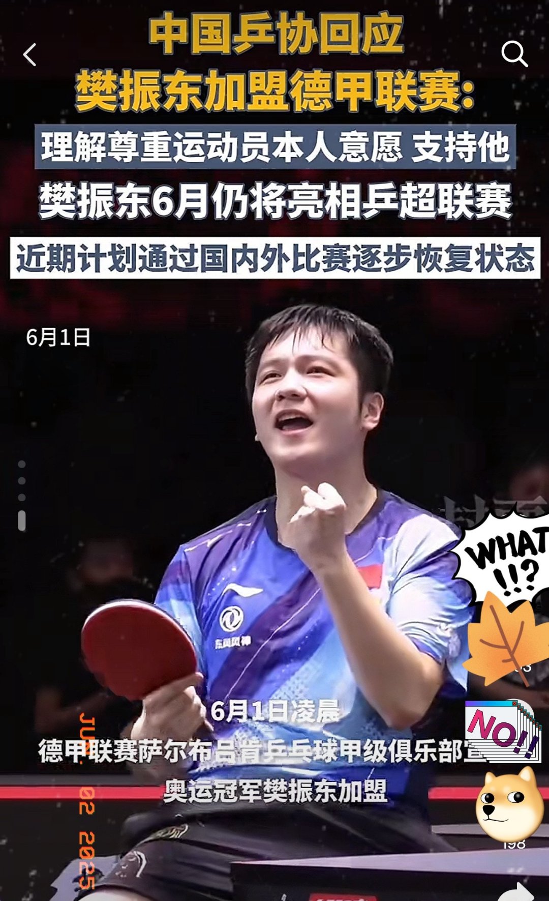 关于比利时乒乓球队爆冷法国乒乓球队，樊振东爆发神勇的信息