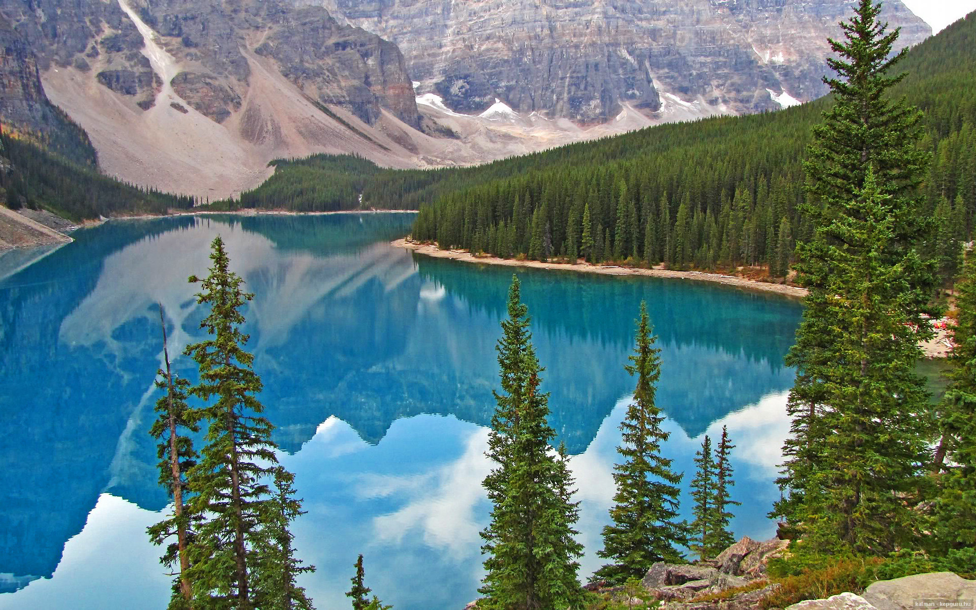 季后赛风云，灰熊绝杀黄蜂，武切维奇独揽胜局显神威