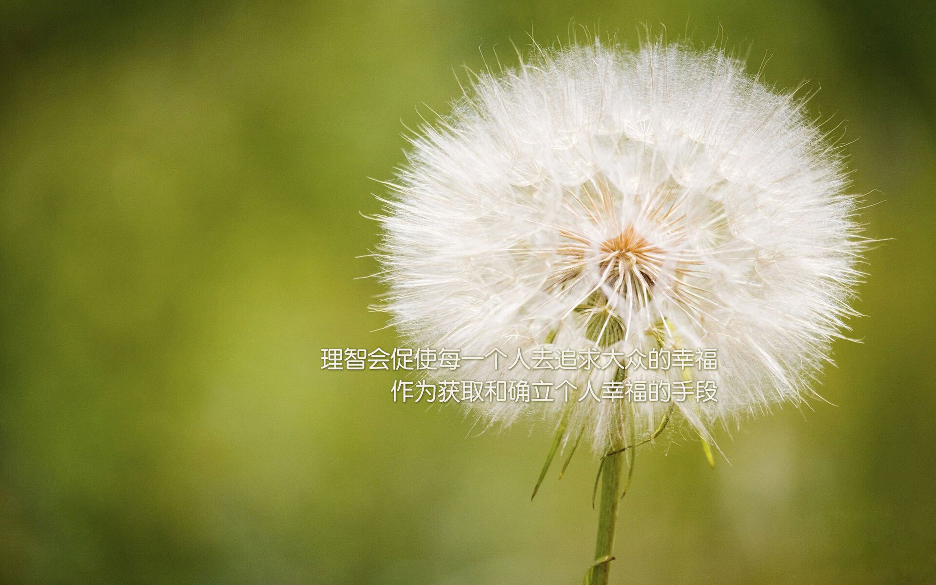 铁血磐石定乾坤，罗德里铸就年度焦点之战传奇