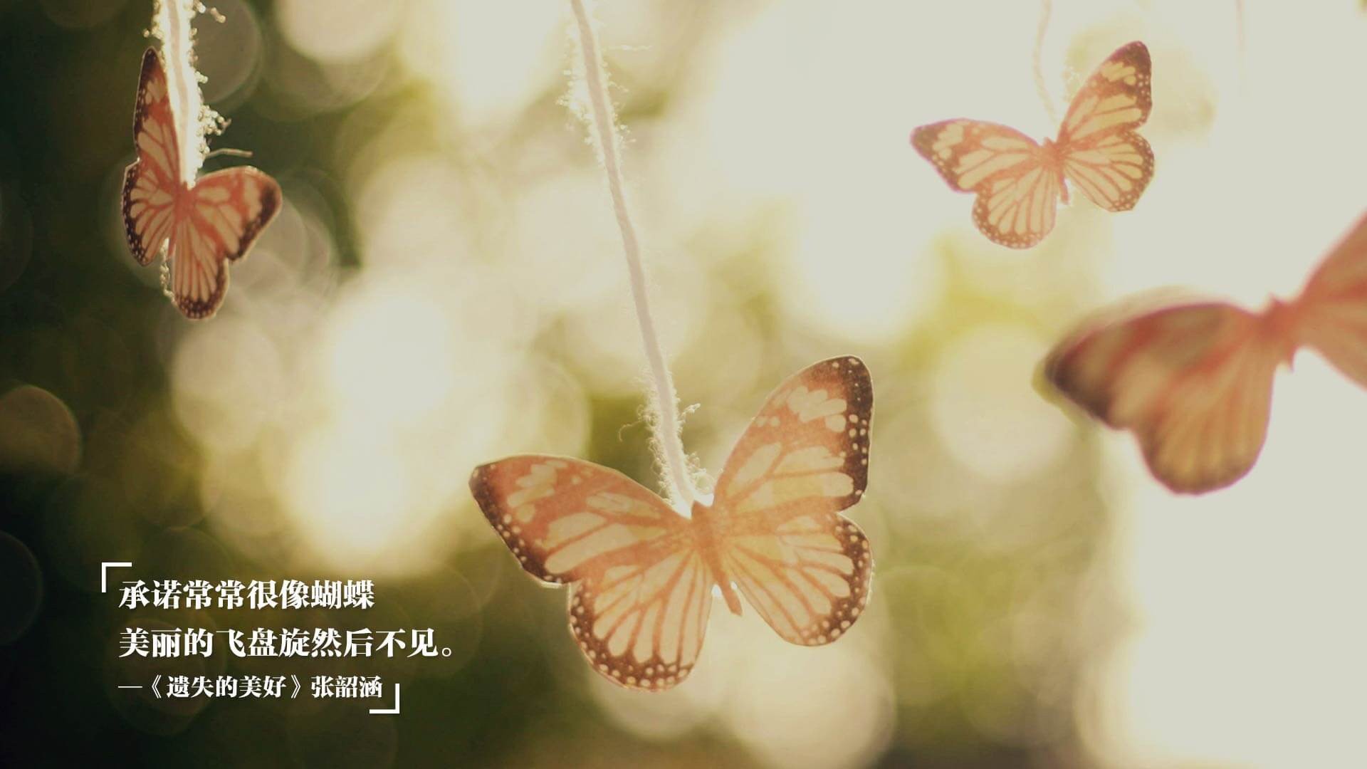 跨越大陆的足球之光，秘鲁的坚韧哲学与维尼修斯的艺术革命