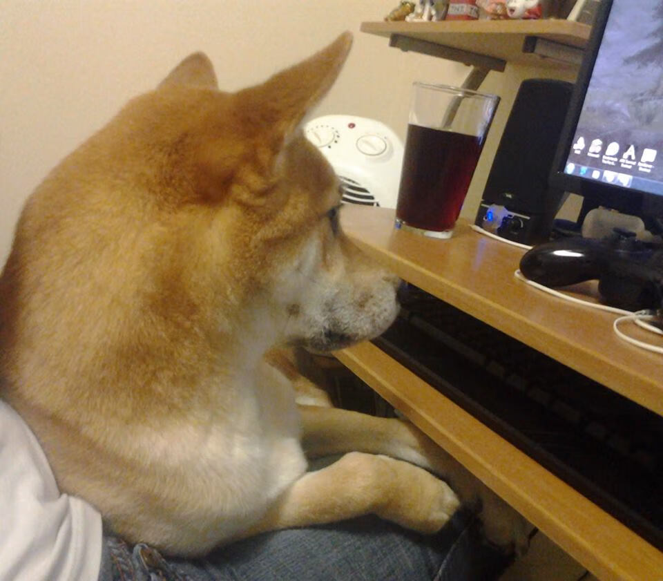 跨越大陆的足球之光，秘鲁的坚韧哲学与维尼修斯的艺术革命