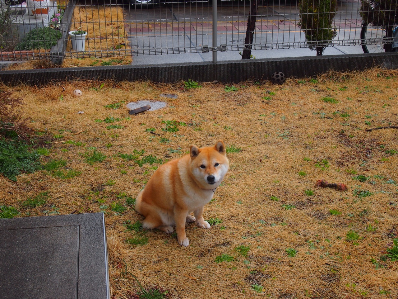 奥利维耶爆发点燃全场，奥地利补时绝杀多特蒙德