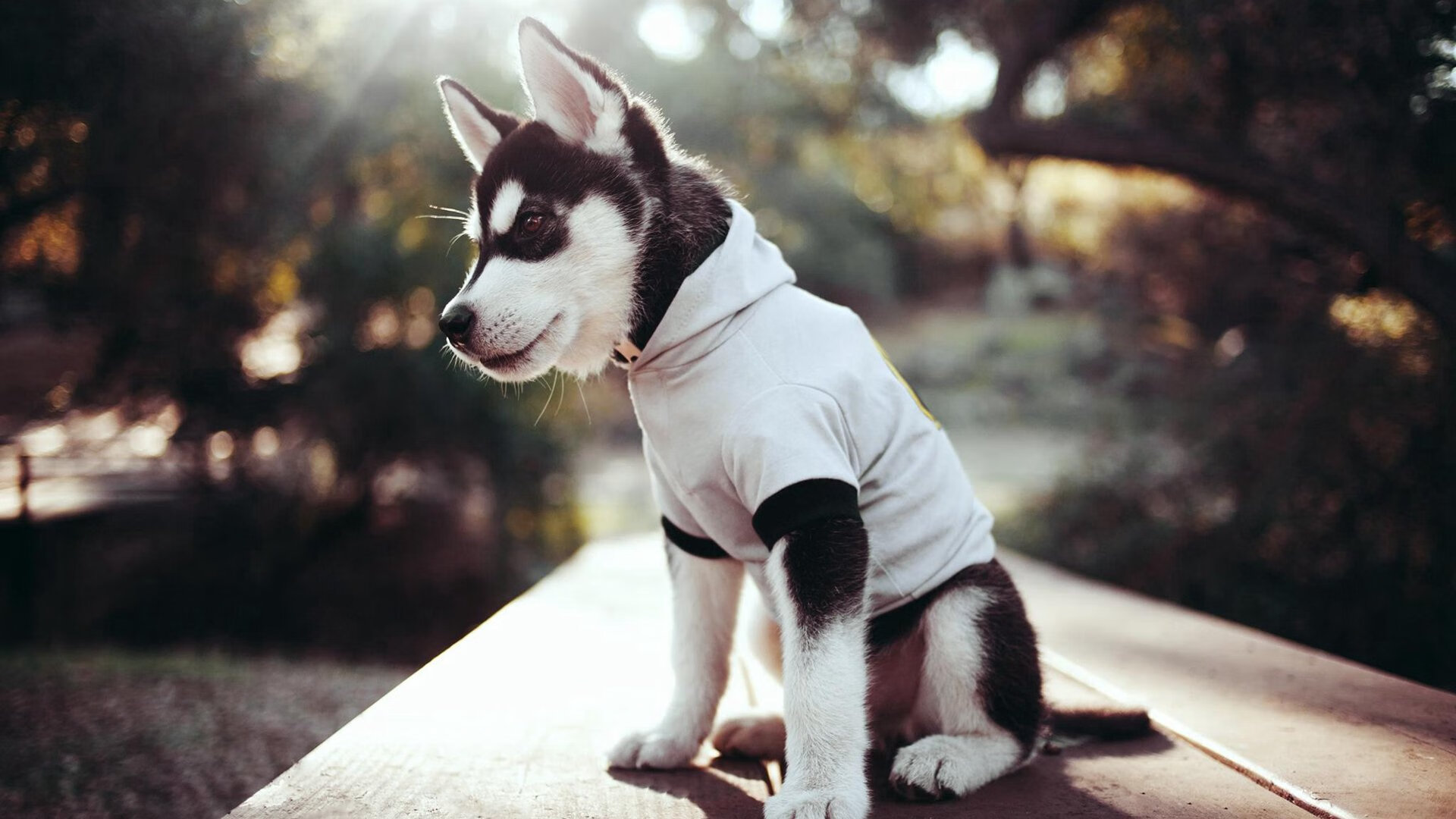 北境风暴席卷中美洲，基耶萨刀锋出鞘，加拿大打穿哥斯达黎加