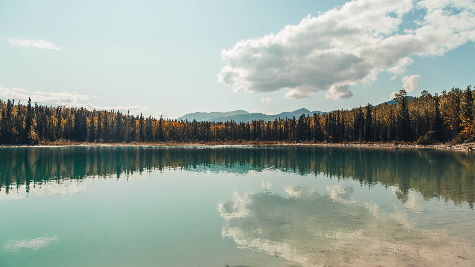 里昂时代，当福登用双足谱写中场统治学