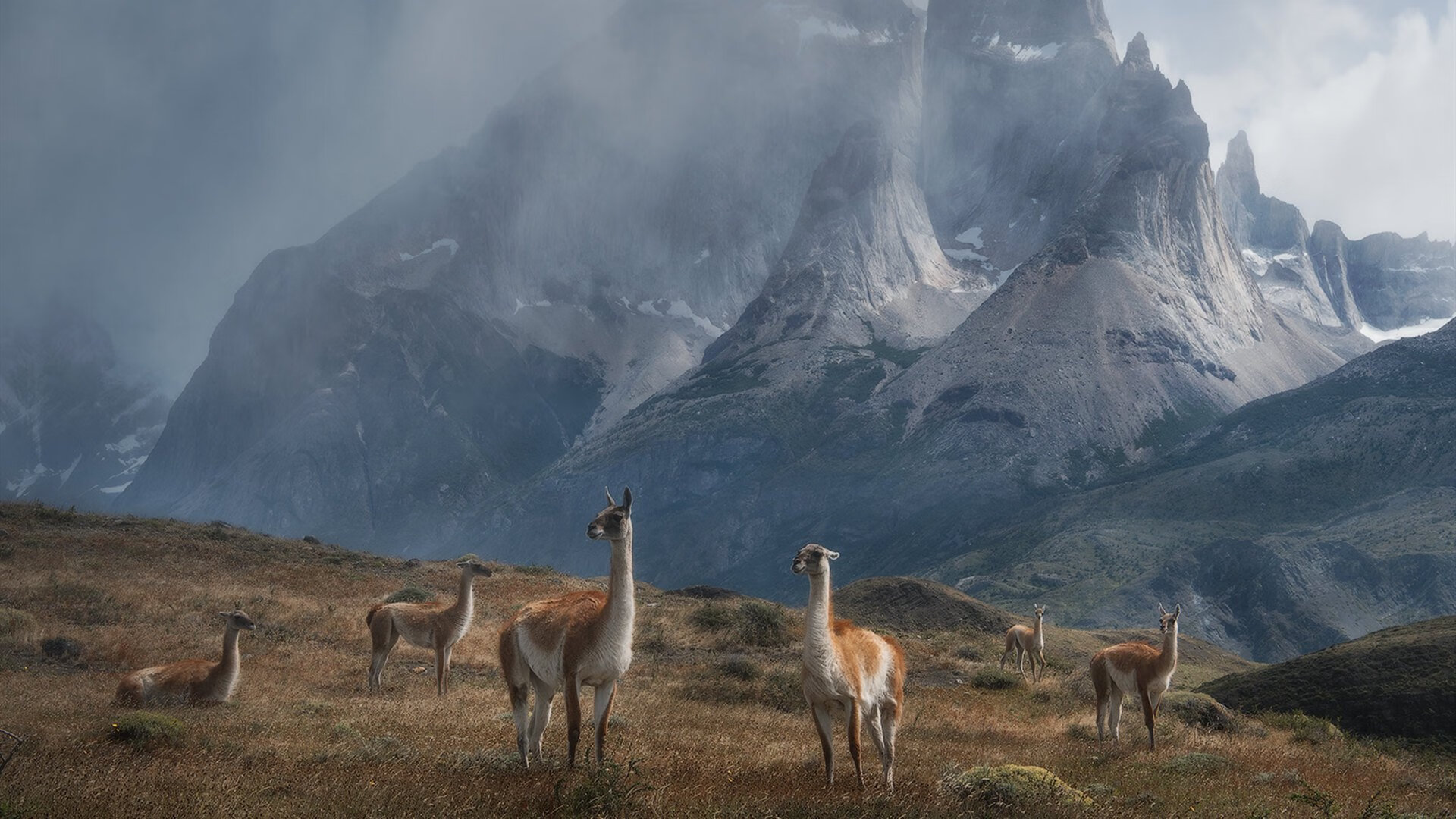 雪崩之际，擎旗而立—奥运周期关键战夜，米切尔轰下生涯新高的58分