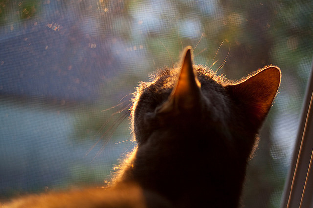 开云体育官方网站-休斯顿火箭用降维打击式篮球正面击溃湖人，布伦森用实力撕掉体系球员标签