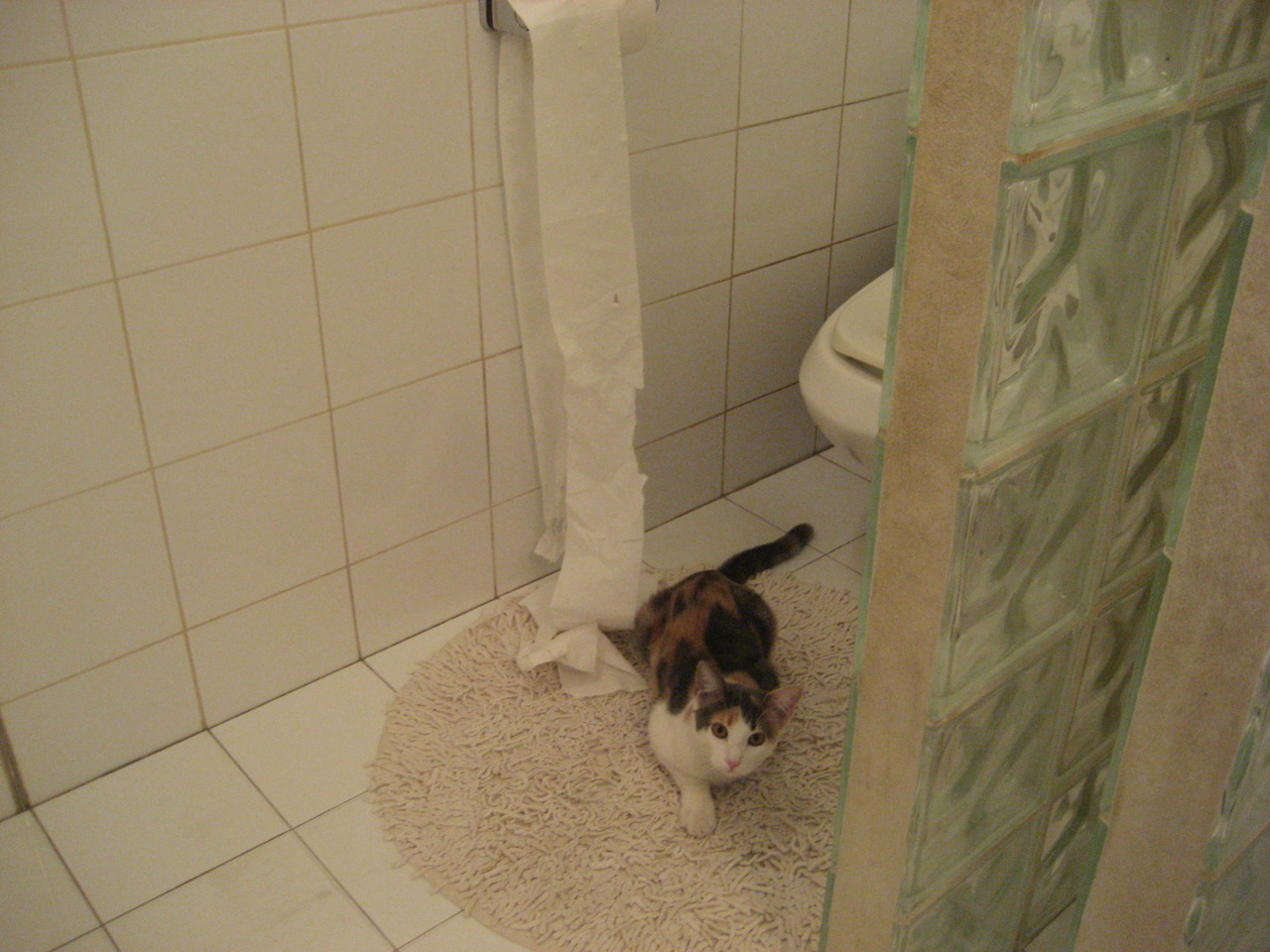 压制之美，雷恩的战术交响与巴尔韦德的个人宣言