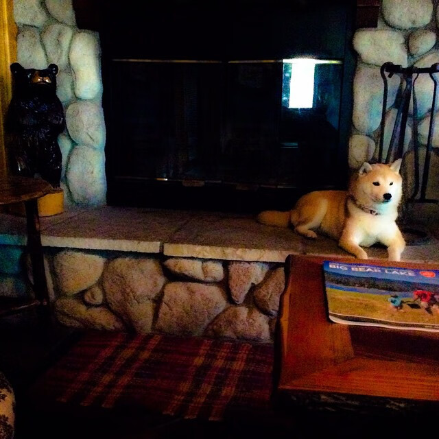 从硬木到绿茵,伦纳德在奇才收割灰熊后,于英超争冠战中接管比赛