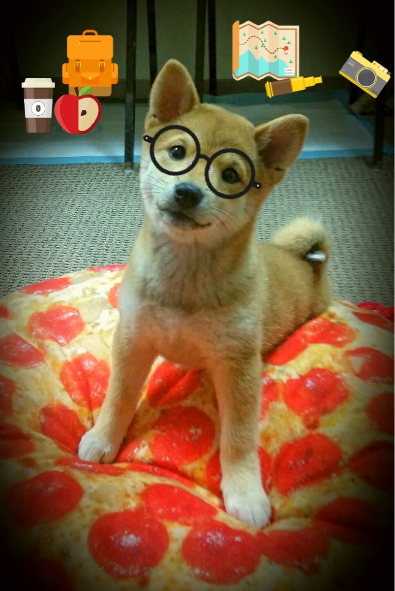 开云体育官方网站-黄潜掀翻英伦巨舰，卡马文加，新时代的中场刺客