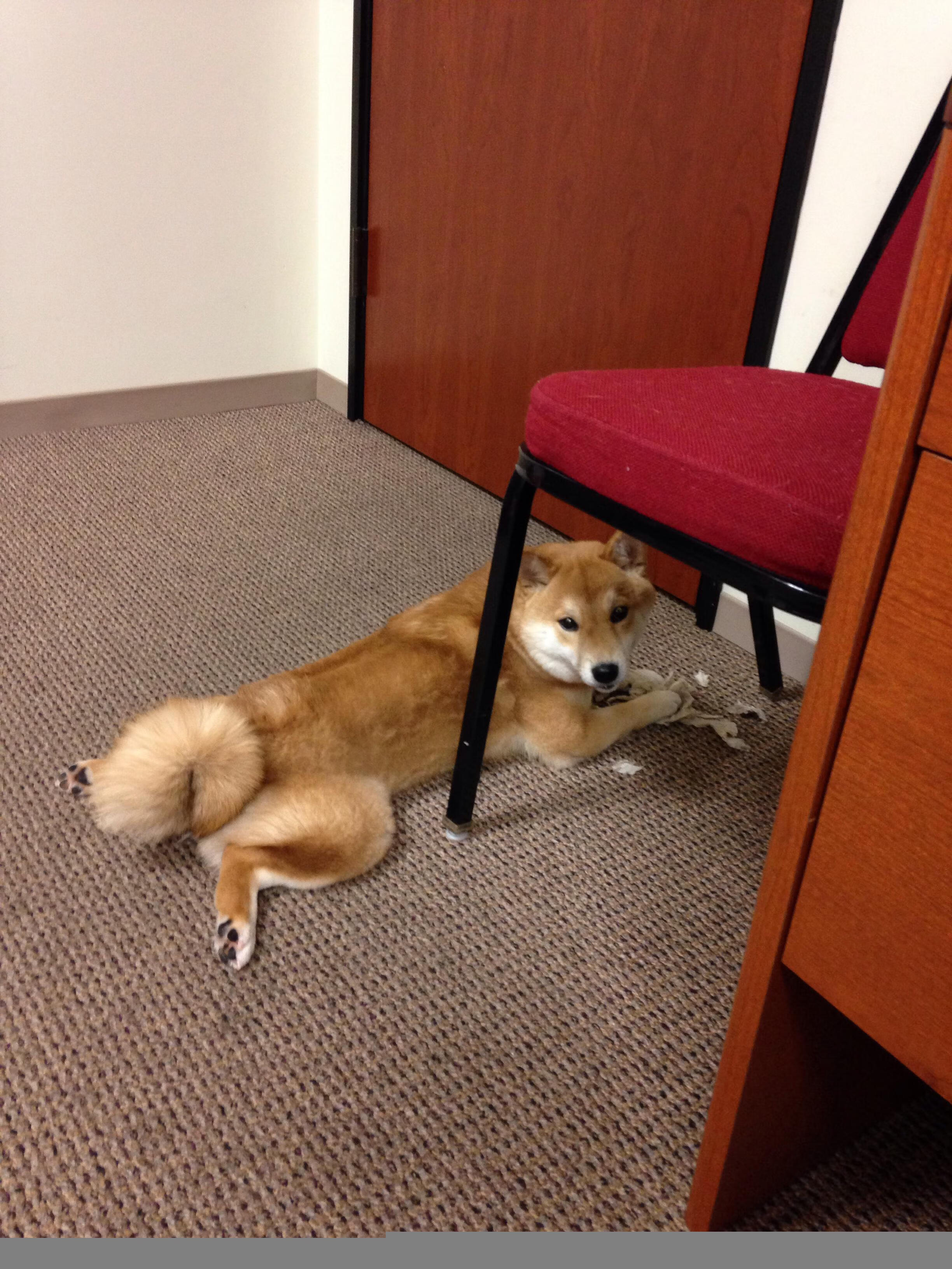 铁闸显神威,富安健洋锁死对手助摩纳哥巅峰战险胜瑞士劲旅