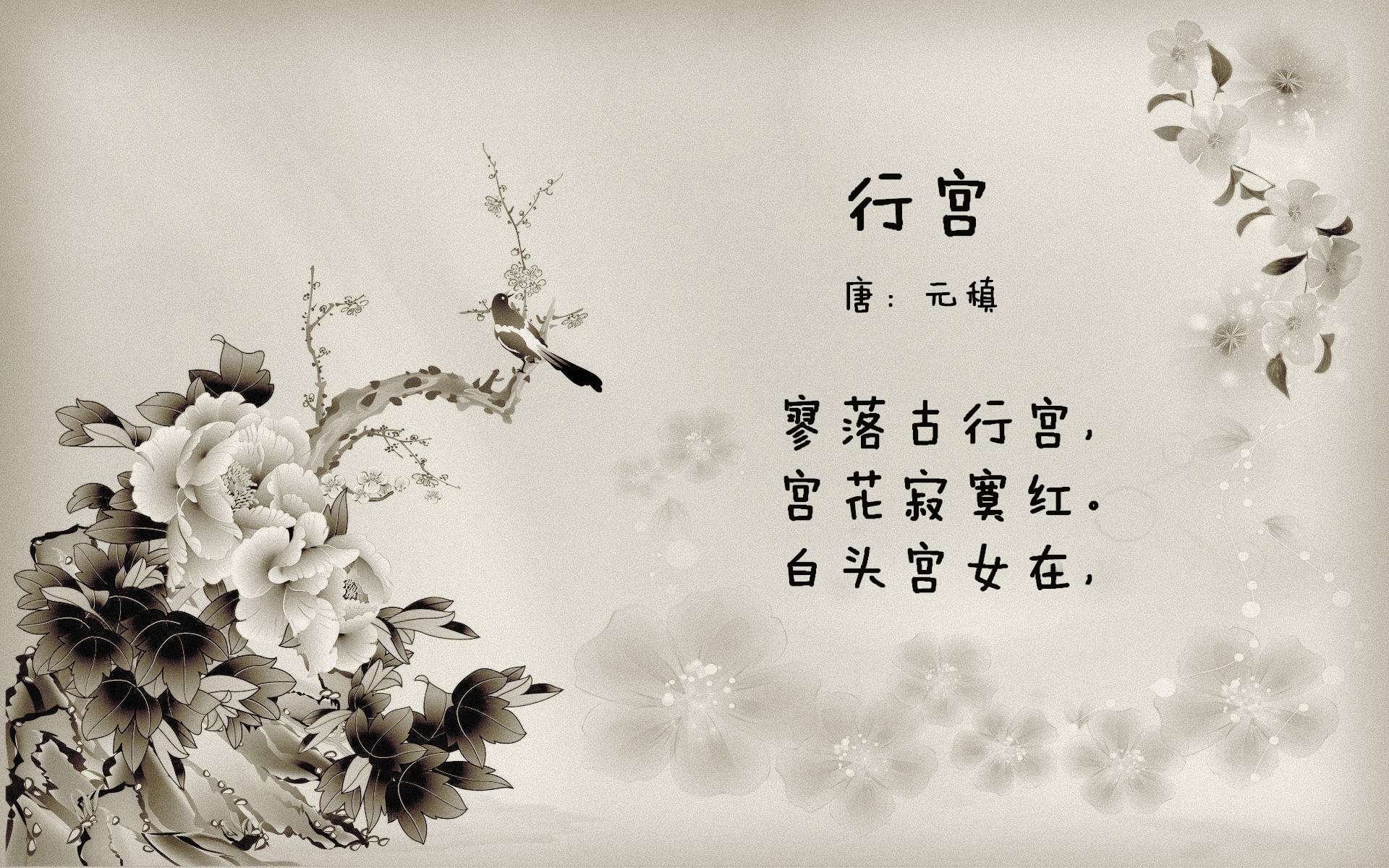 雄鹿斩落国王，福克斯稳定输出不掉线